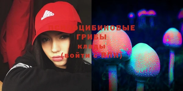 гашик Алексин