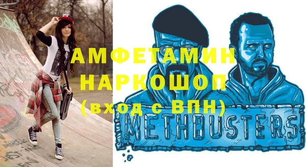 гашик Алексин