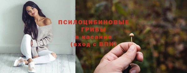 гашик Алексин