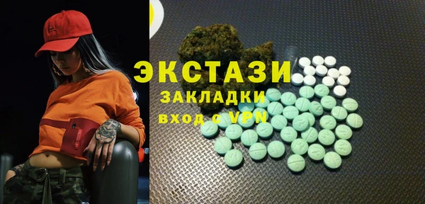 гашик Алексин
