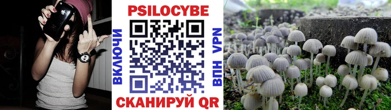 мега зеркало  Амурск  Галлюциногенные грибы Psilocybine cubensis 
